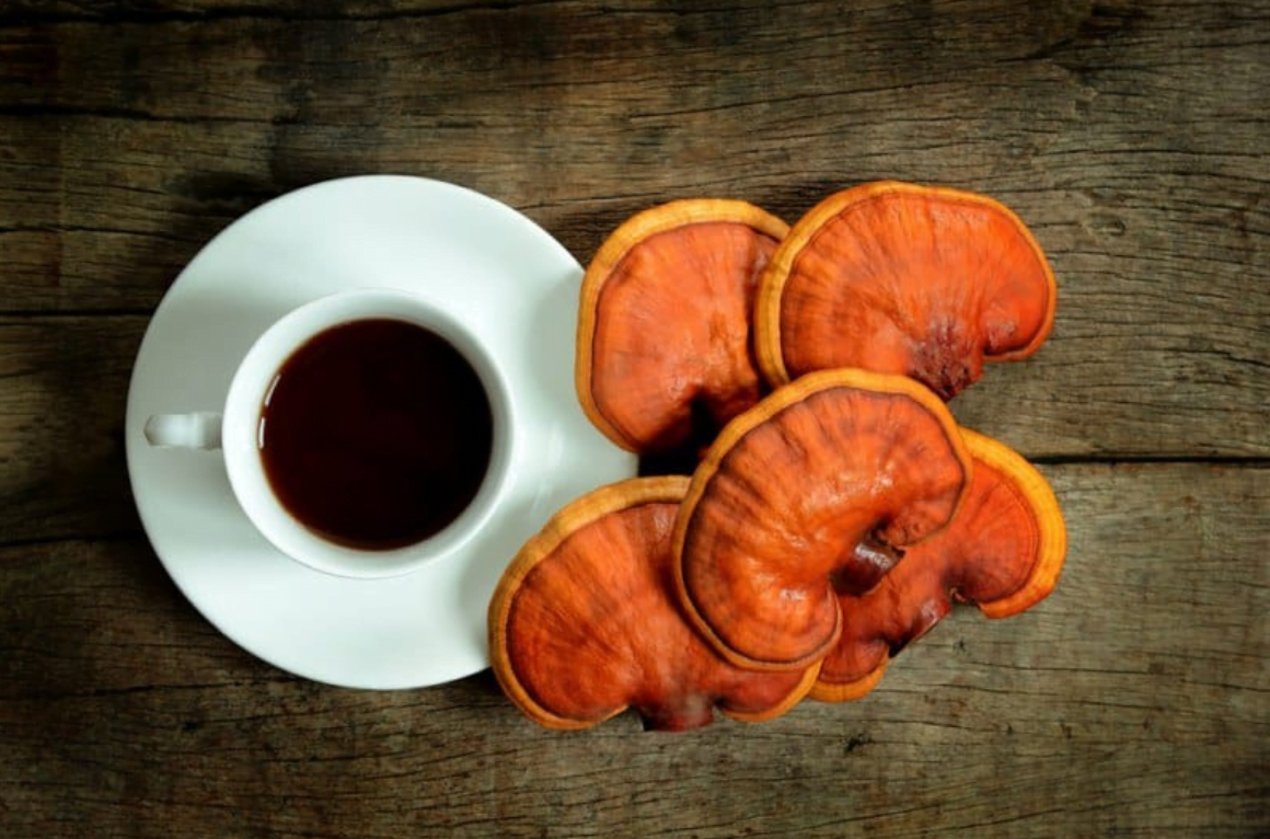 Ganoderma lucidium(lingurița zânei) 1 Ganoderma lucidium(lingurița zânei)